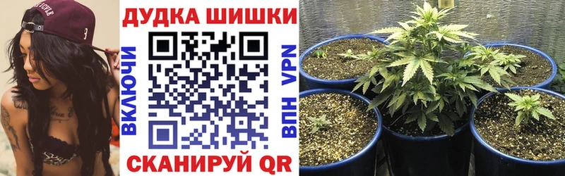 Конопля индика даркнет сайт Назрань